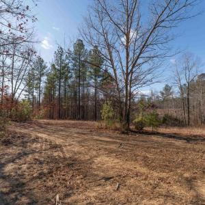 Photo #30 of  25.1 acres