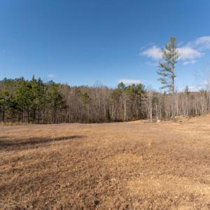 Photo #32 of  25.1 acres