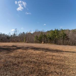 Photo #33 of  25.1 acres