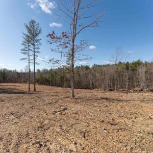 Photo #34 of  25.1 acres