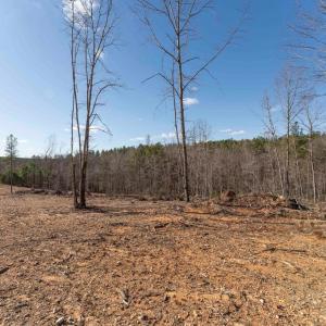 Photo #35 of  25.1 acres