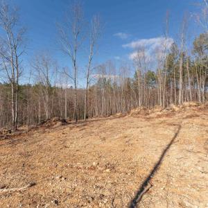 Photo #36 of  25.1 acres