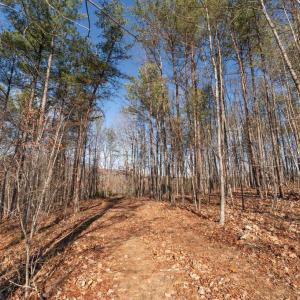 Photo #37 of  25.1 acres