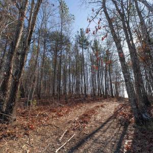 Photo #38 of  25.1 acres