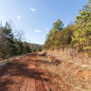 Photo #40 of  25.1 acres