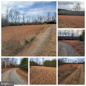 Photo #1 of 14822 WOOLFOLK RD, SPOTSYLVANIA, VA 3.0 acres