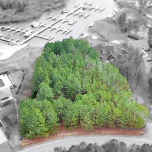 Photo #4 of 0 LAKE FOREST DR (LOT 308), MINERAL, VA 0.9 acres