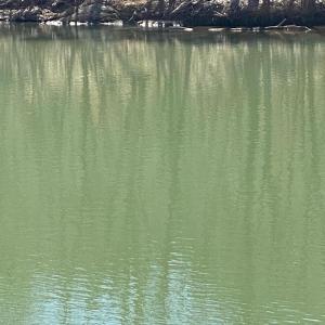 Roanoke River Water Front in Common area