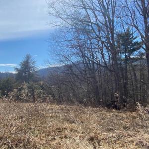 Lot 28 Road side