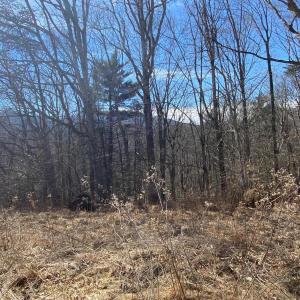Lot 28 looking from River Rock