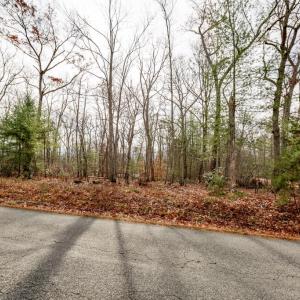Photo #4 of 13600 BLACK MEADOW RD, SPOTSYLVANIA, VA 9.4 acres