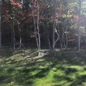 5620 Hunt Camp