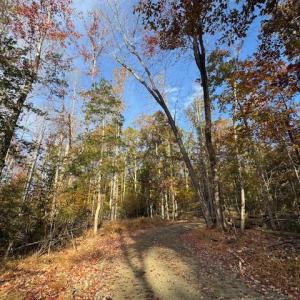 Photo #2 of 31078 OLD OFFICE RD LOT 1, LOCUST GROVE, VA 6.9 acres