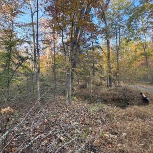 Photo #3 of 31078 OLD OFFICE RD LOT 1, LOCUST GROVE, VA 6.9 acres