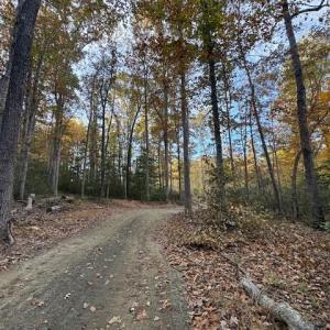 Photo #1 of 31078 OLD OFFICE RD LOT 1, LOCUST GROVE, VA 6.9 acres