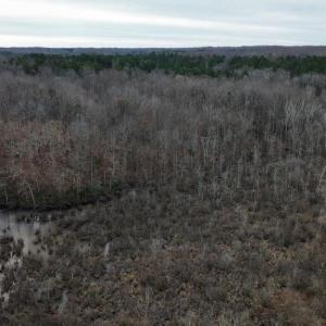 Photo #6 of 23299 EAGLE ROCK TRL, SPOTSYLVANIA, VA 2.1 acres