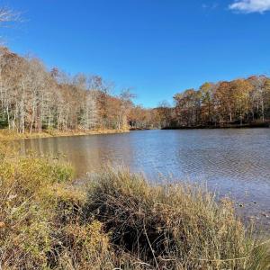 Photo #12 of 10405 PINEY BRANCH RD, SPOTSYLVANIA, VA 6.5 acres