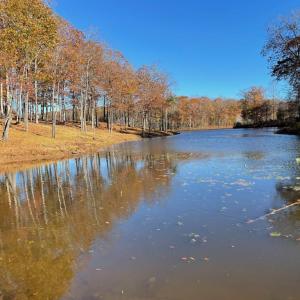 Photo #13 of 10405 PINEY BRANCH RD, SPOTSYLVANIA, VA 6.5 acres