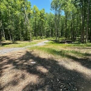 Photo #5 of 10405 PINEY BRANCH RD, SPOTSYLVANIA, VA 6.5 acres