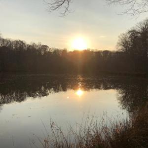 Photo #11 of 10405 PINEY BRANCH RD, SPOTSYLVANIA, VA 7.7 acres