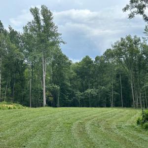 Photo #4 of 10405 PINEY BRANCH RD, SPOTSYLVANIA, VA 7.7 acres
