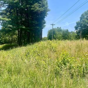 Photo #1 of KENTUCKY SPRINGS RD, BUMPASS, VA 1.7 acres