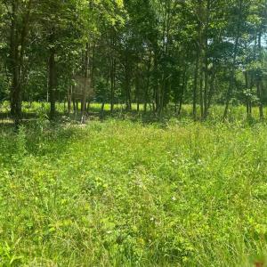 Photo #3 of KENTUCKY SPRINGS RD, BUMPASS, VA 1.7 acres