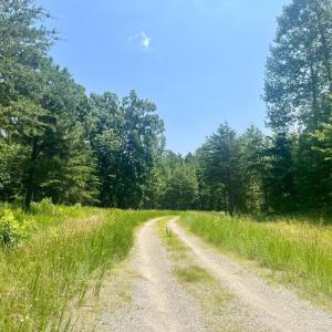 Photo #3 of KIMBERLY CT, BUMPASS, VA 1.8 acres