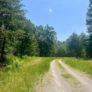 Photo #1 of KIMBERLY CT, BUMPASS, VA 1.8 acres