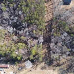 Photo #8 of 398 BAYLES LN, LOUISA, VA 4.0 acres