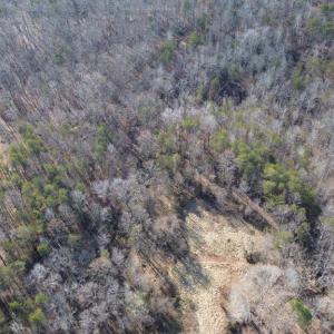Photo #9 of 398 BAYLES LN, LOUISA, VA 4.0 acres