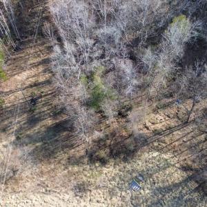 Photo #14 of 398 BAYLES LN, LOUISA, VA 4.0 acres