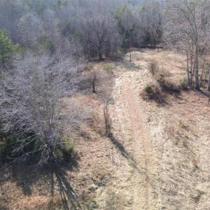 Photo #15 of 398 BAYLES LN, LOUISA, VA 4.0 acres