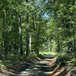 Photo #4 of 398 BAYLES LN, LOUISA, VA 4.0 acres