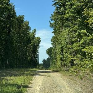 Photo #5 of 398 BAYLES LN, LOUISA, VA 4.0 acres