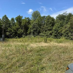 Photo #7 of 398 BAYLES LN, LOUISA, VA 4.0 acres