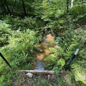 Photo #3 of 398 BAYLES LN, LOUISA, VA 4.0 acres