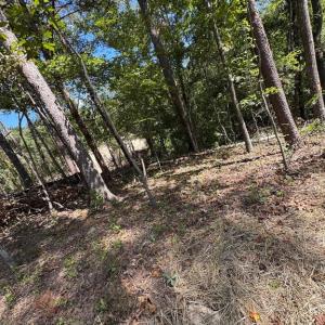 Photo #11 of CABIN BRANCH ROAD, MARSHALL, VA 3.0 acres