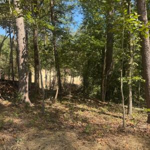 Photo #13 of CABIN BRANCH ROAD, MARSHALL, VA 3.0 acres