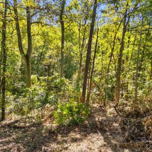 Photo #10 of CABIN BRANCH ROAD, MARSHALL, VA 3.0 acres