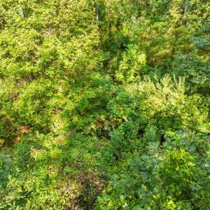 Photo #27 of CABIN BRANCH ROAD, MARSHALL, VA 3.0 acres