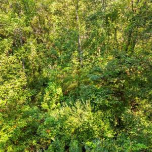 Photo #28 of CABIN BRANCH ROAD, MARSHALL, VA 3.0 acres