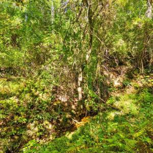 Photo #25 of CABIN BRANCH ROAD, MARSHALL, VA 3.0 acres