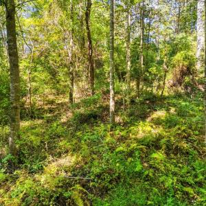 Photo #20 of CABIN BRANCH ROAD, MARSHALL, VA 3.0 acres