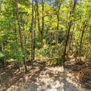 Photo #22 of CABIN BRANCH ROAD, MARSHALL, VA 3.0 acres