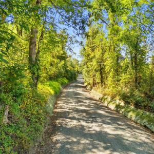 Photo #16 of CABIN BRANCH ROAD, MARSHALL, VA 3.0 acres