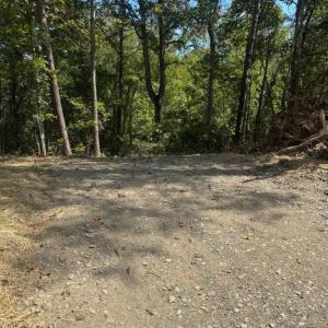 Photo #1 of CABIN BRANCH ROAD, MARSHALL, VA 3.0 acres