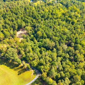 Photo #7 of CABIN BRANCH ROAD, MARSHALL, VA 3.0 acres