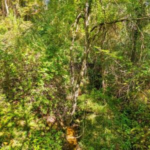 Photo #26 of CABIN BRANCH ROAD, MARSHALL, VA 3.0 acres