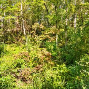 Photo #17 of CABIN BRANCH ROAD, MARSHALL, VA 3.0 acres